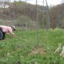 풀잎농장 이미지