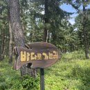 레드하우스민박 | 2023.08 바다가 가뭇없이 뒤척이던 곳. 울릉도 여행기