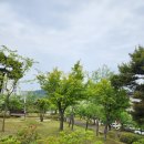 모전공원 테니스장 네이버블로그