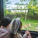 대전 오월드 사파리 (입장권, 할인카드, 주차장, 시간, 나이트사파리, 버스, 예약)