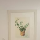 엘아르카 이미지