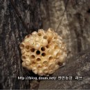 주렴농장 이미지