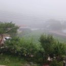 연꽃자리캠핑타운