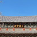 STAY405 | 보은 법주사 단풍 실시간 국화축제 기간