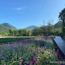 연천재인폭포 이미지