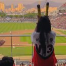 스튜디오피안타 | [K-컬처 스타들의 KBO 인생구단] 기아타이거즈 연예인 찐팬