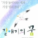 갈매기의 꿈 이미지
