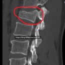 유정행정사 이미지