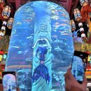 명월산해간 불야성 이미지