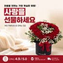 하트플라워 | 99플라워 빨강 하트 카네이션 후기