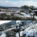 남송농장 이미지