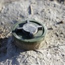 다듬피트니스 이미지