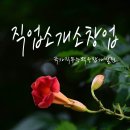 원직업소개소 네이버블로그