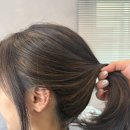 몬시크