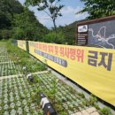 다락골민박 이미지