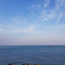 무네미로448번길 이미지