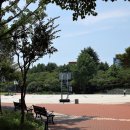 국채보상로 이미지