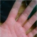 경희광제한의원 이미지