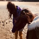 영광목장 1 이미지