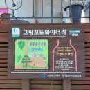 [대부도 맛집] 대부도 포도로 만든 와인! 그랑꼬또 와이너리 방문 후기