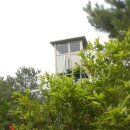 길상초교 이미지