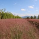 대저생태공원 이미지