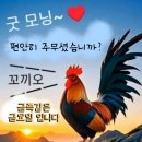 니나노