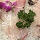 구레스시 이미지