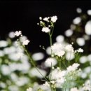 아름다운 세상 모두함께 이미지