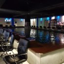 유일실내낚시터 이미지