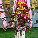 우리꽃집&카페 이미지