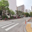 한솔공인중개사사무소 네이버블로그