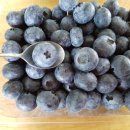 영길농장 이미지