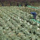 한창헬스 이미지