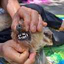 효령로68길 66 이미지