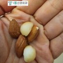 토마토정형외과의원 | 대구위고비병원, 요요 막는 식단 공개 [서부통신경외과] 달서구, 수성구, 서부정류장역, 남구 대명동