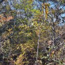 깊은골 신기마을 이미지