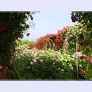 곡성-045 이미지