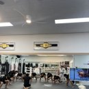 자연체육관 이미지