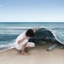 도나도나 이미지