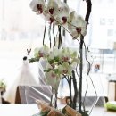 라라하우스 이미지