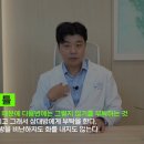 건강의 숲 이미지