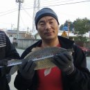 비금지킴이 이미지