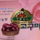 홍주농원