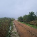 죽정습지 이미지