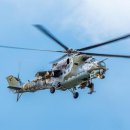 분당밝은아이동물병원 이미지