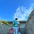 플라밍고C.C 이미지