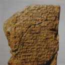 에덴피시 이미지