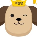 개밥주는고양이 이미지