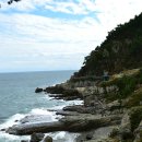 바다 어울림 이미지